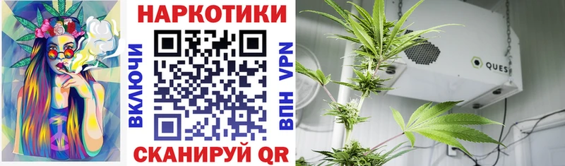 Купить наркотики Николаевск-на-Амуре Гашиш  Бошки Шишки  Меф 